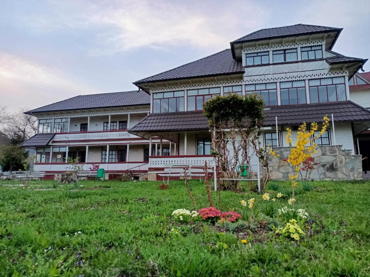 Vila Padurea De Argint Văratec Exteriér fotografie