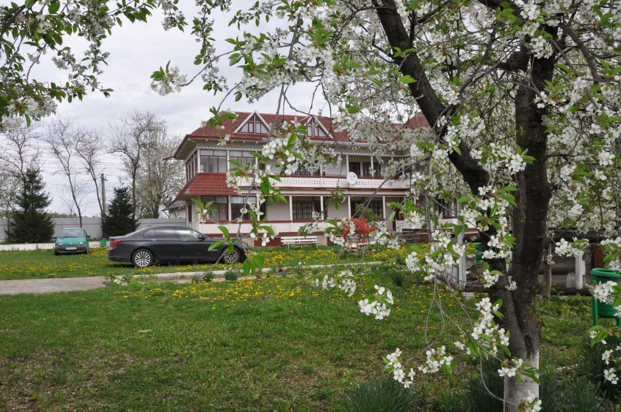 Vila Padurea De Argint Văratec Exteriér fotografie