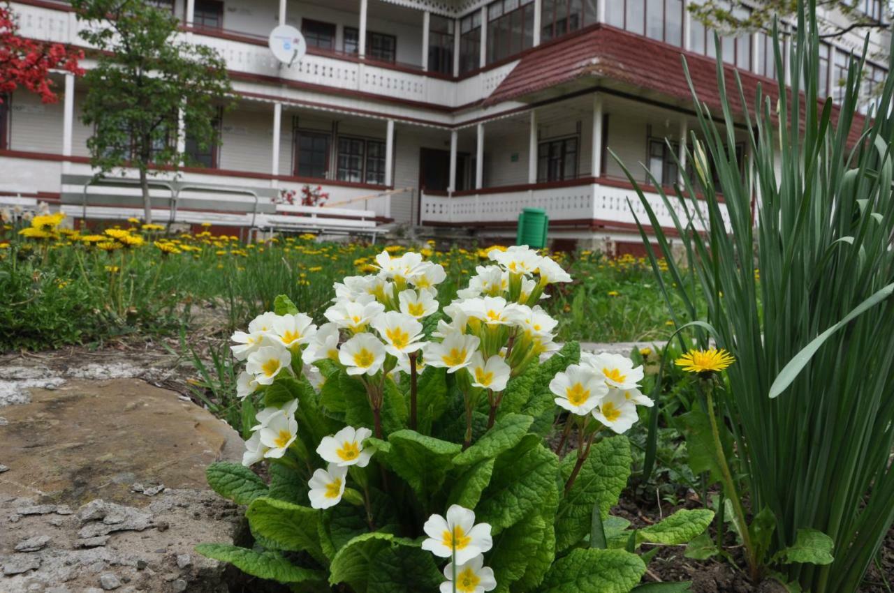 Vila Padurea De Argint Văratec Exteriér fotografie