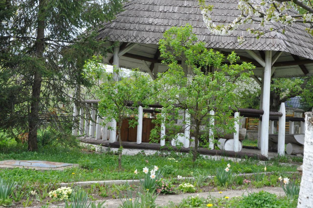 Vila Padurea De Argint Văratec Exteriér fotografie